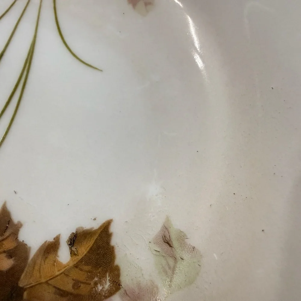BAVARIA Collectible Bowl